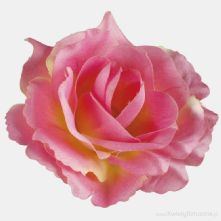 11cm Cerise Pink Yellow Open Rose